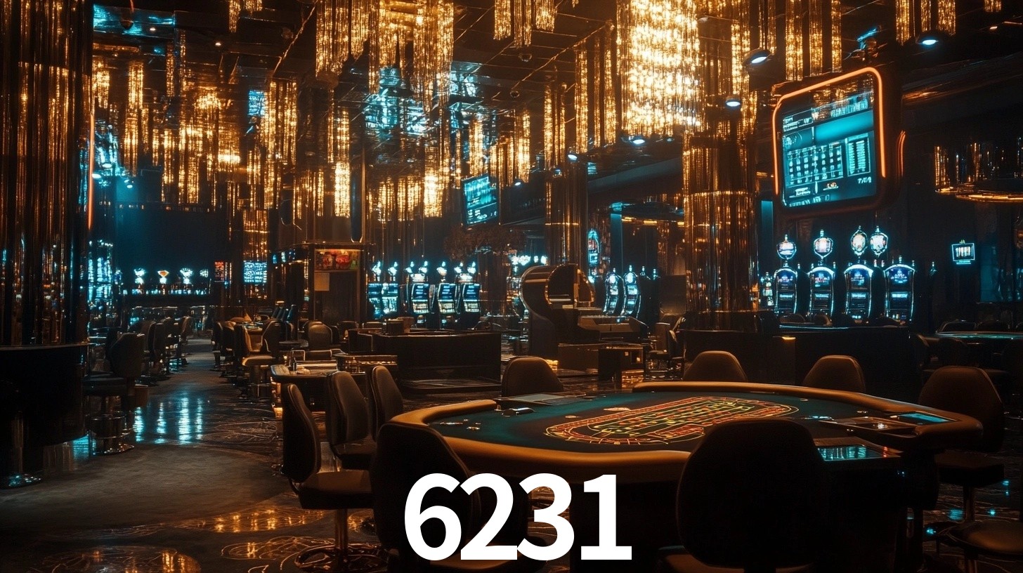 6231.com