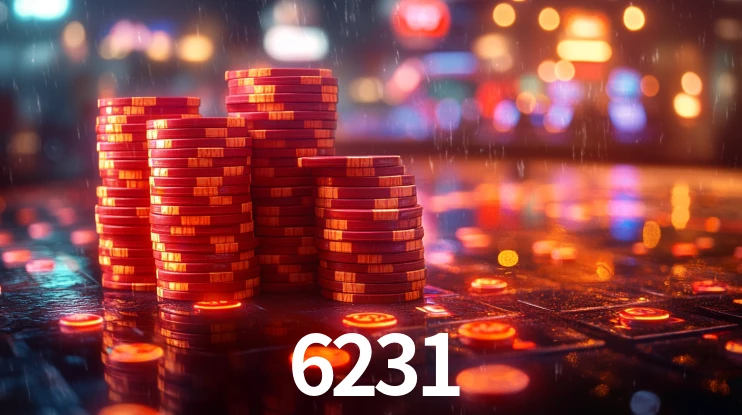 6231.com